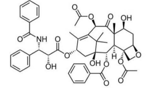 绿色荧光素标记紫杉醇，FITC-PTX，异硫氰酸荧光素标记紫杉醇