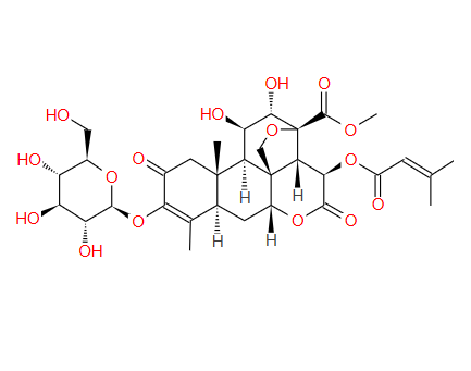 鸦胆子苷B  鸦胆子苷B Bruceoside B 69687-69-0  