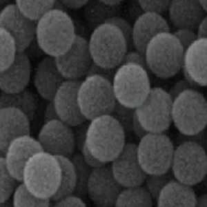 sulfhydryl PS Microspheres，巯基修饰聚苯乙烯微球