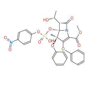 蛋白酶K Proteinase K 39450-01-6