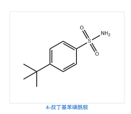 4-叔丁基苯磺酰胺