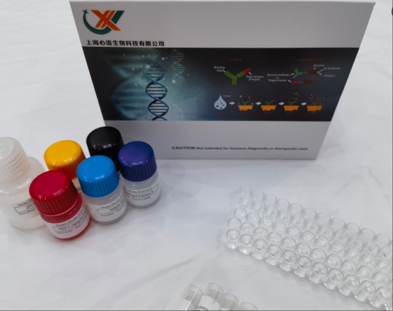 鸡微粒体甘油三酸酯转运蛋白大亚基（MTTP）ELISA试剂盒