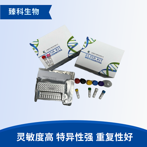 小鼠肾炎因子(NEF）elisa检测试剂盒