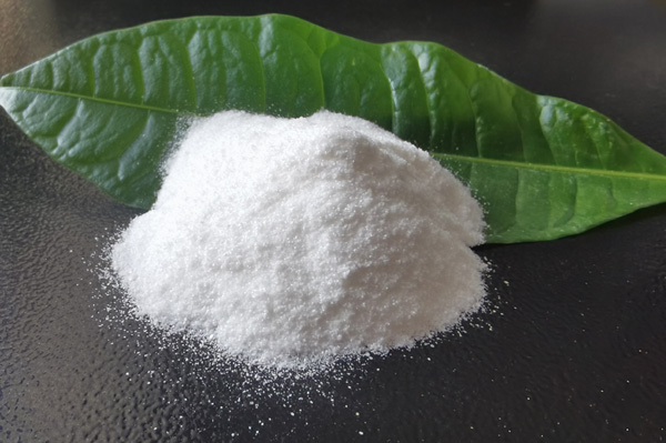 葡萄糖醛酸内脂