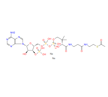 乙酰辅酶A；102029-73-2