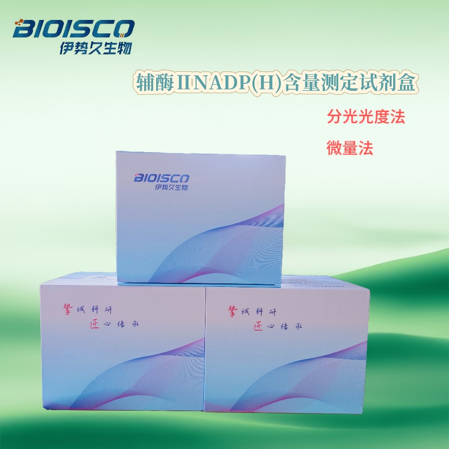 辅酶ⅡNADP(H)含量测试盒