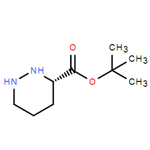 (S)-叔丁基六氢哒嗪-3-羧酸酯