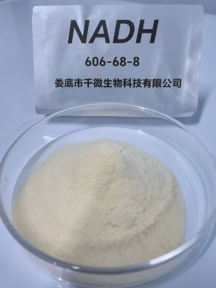 烟酰胺腺嘌呤二核苷酸（还原型）NADH