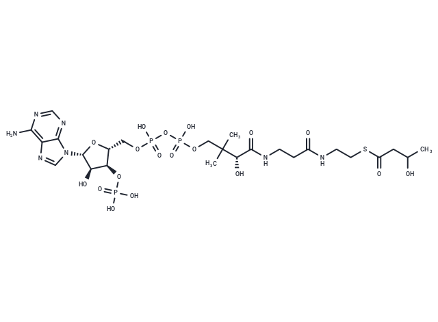 化合物 3-Hydroxybutyryl-CoA|TN7604|TargetMol