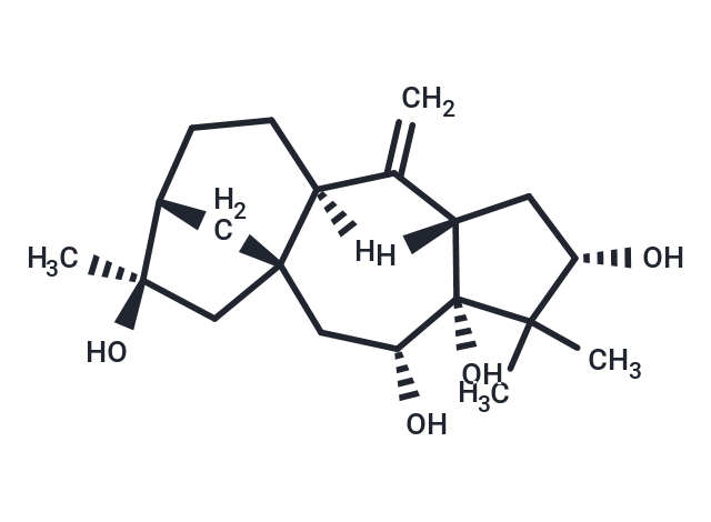化合物 Grayanotoxin XVIII|T124360|TargetMol