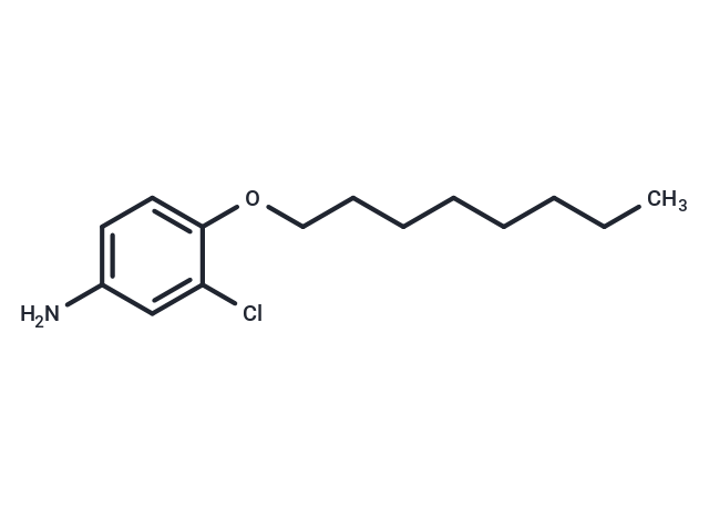 化合物 Aniline, 3-chloro-4-(octyloxy)-|T30049|TargetMol