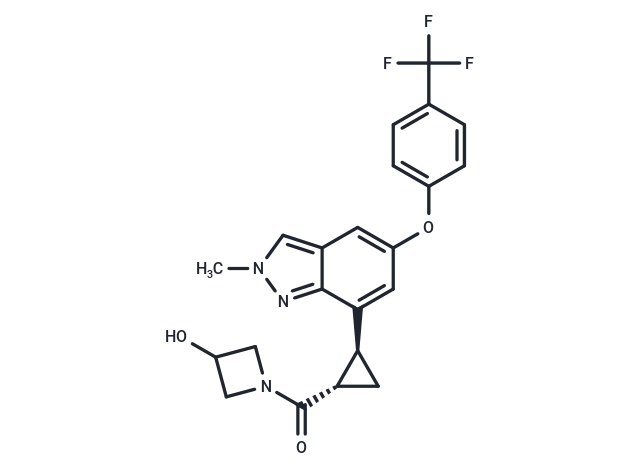 化合物 TEAD-IN-12|T88275|TargetMol