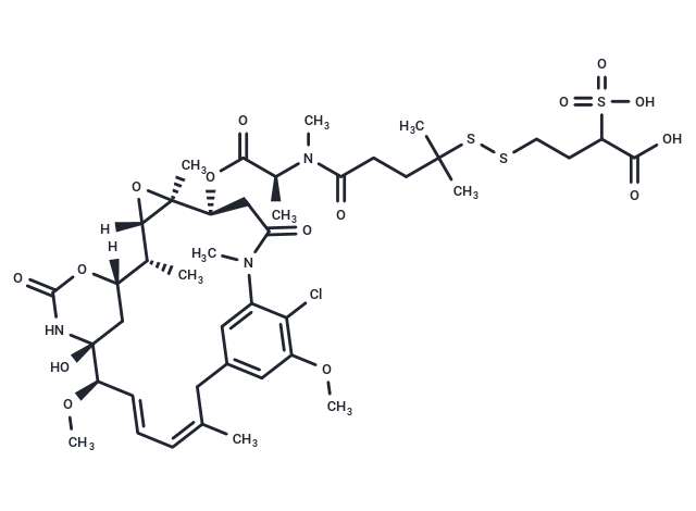 化合物 Sulfo-PDBA-DM4|T18731|TargetMol