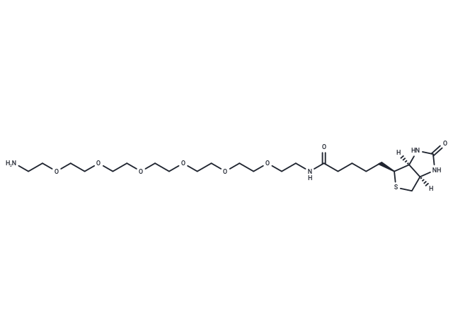 化合物 Biotin-PEG6-amine|T17589|TargetMol