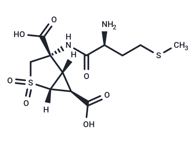 化合物 Pomaglumetad methionil anhydrous|T11907|TargetMol