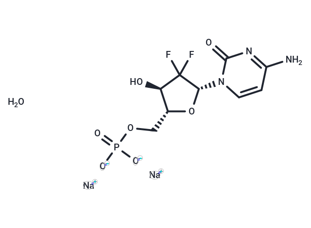 吉西他滨单磷酸酯|T4187|TargetMol