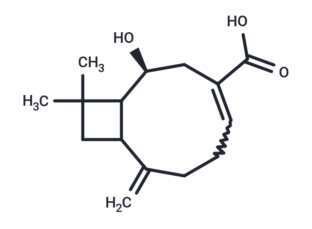 化合物 Lychnopholic acid|T124383|TargetMol