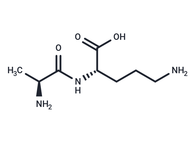 化合物 Alanyl ornithine|T29823|TargetMol