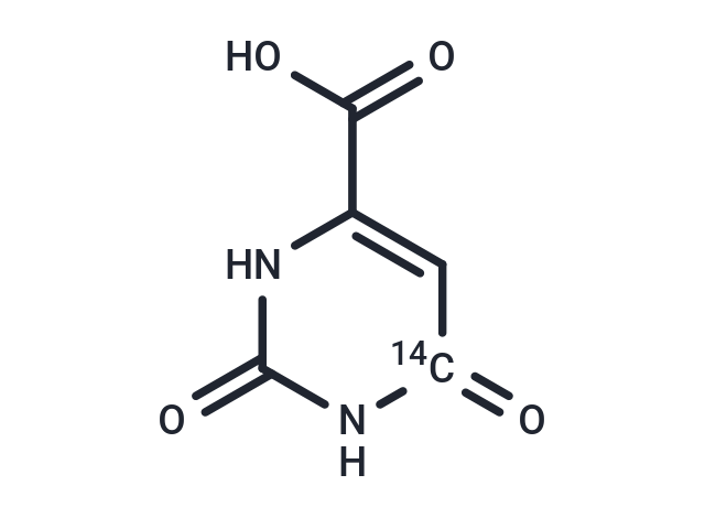 化合物 Orotic acid-6-C14|T12325|TargetMol