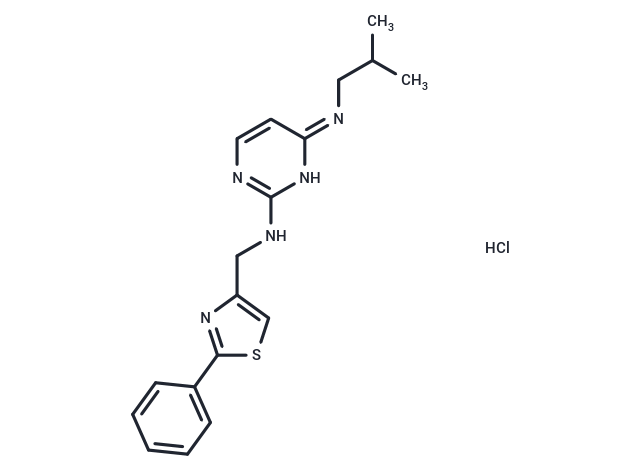 化合物 KHS 101 hydrochloride|T22890|TargetMol