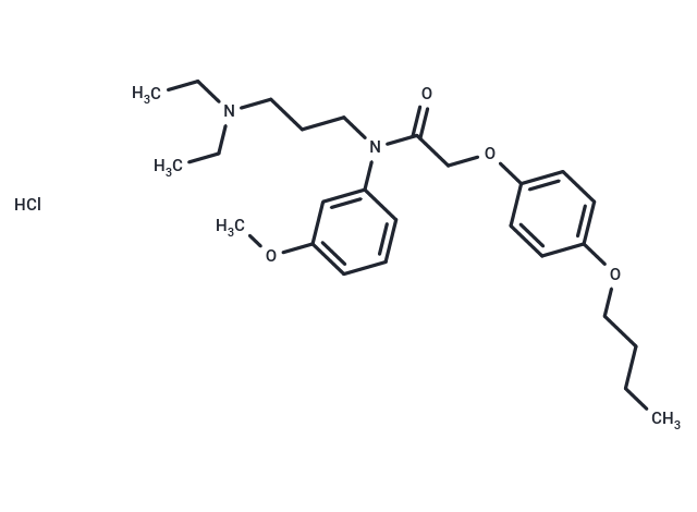 化合物 Acetamide, N-(m-anisyl)-2-(p-butoxyphenoxy)-N-(3-(diethylamino)propyl)-, hydrochloride|T29575|TargetMol