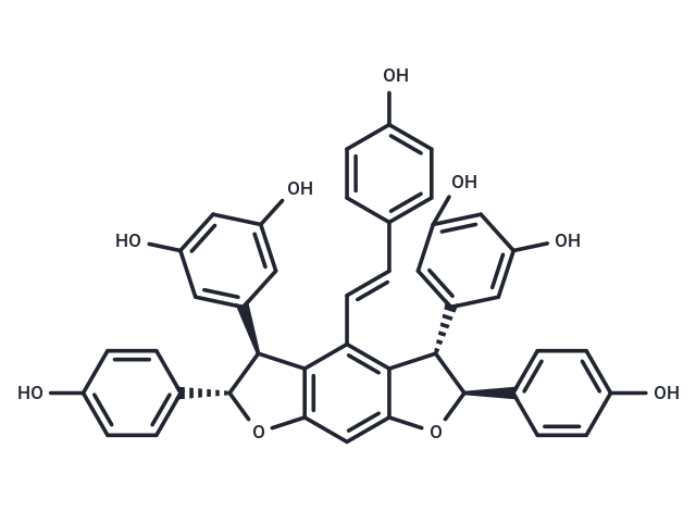 化合物 Gnetin H|T126475|TargetMol