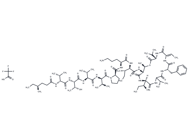 化合物 PM 02734|T25967|TargetMol