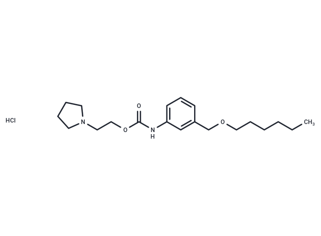 化合物 Carbanilic acid, m-((hexyloxy)methyl)-, 2-(1-pyrrolidinyl)ethyl ester, hydrochloride|T30715|TargetMol