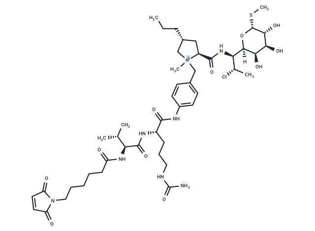 化合物 MC-Val-Cit-PAB-clindamycin|T18322|TargetMol