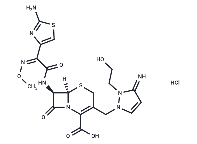 盐酸头孢噻利|T22642|TargetMol