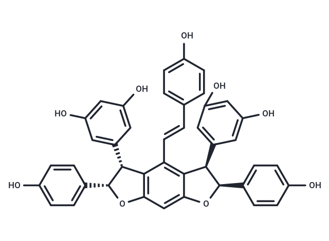 化合物Malaysianol D|T125648|TargetMol