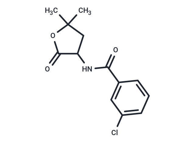化合物 Benzamide, m-chloro-N-(5,5-dimethyl-2-oxotetrahydro-3-furyl)-|T30335|TargetMol
