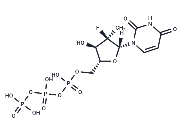 化合物 PSI-7409|T12572|TargetMol