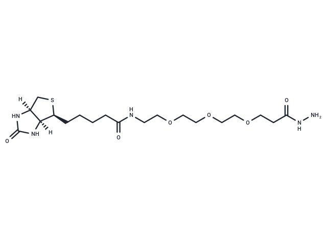 化合物 Biotin-PEG3-propionic hydrazide|T14596|TargetMol