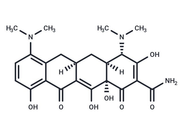 化合物 Minocycline|T131626|TargetMol