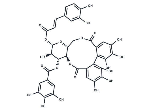 化合物 1-O-Caffeoyl-3-O-galloyl-4,6-(S)-hexahydroxydiphen|T124953|TargetMol