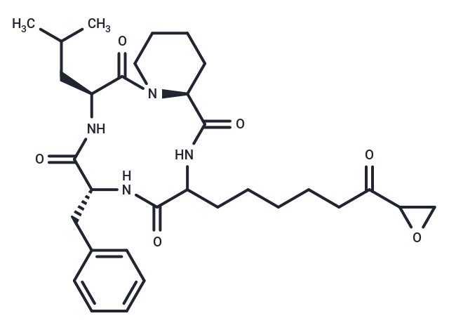 化合物 FR 900261, Antibiotic WF 3161|T124069|TargetMol