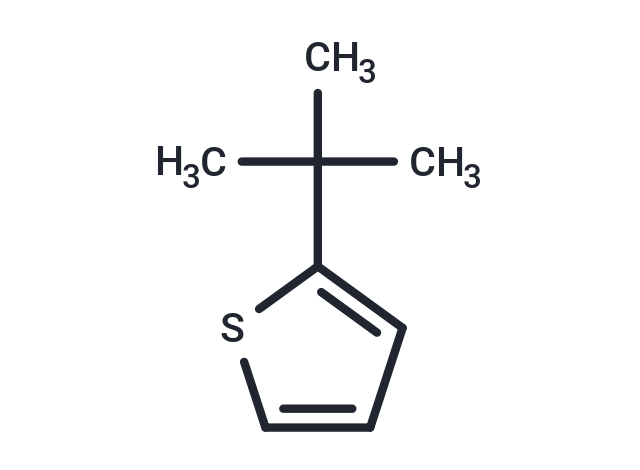 化合物 2-tert-Butylthiophene|T29375|TargetMol