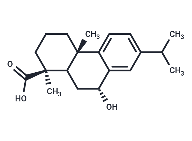 化合物 7-Hydroxy-8,11,13-abietatrien-19-oic acid|T125737|TargetMol