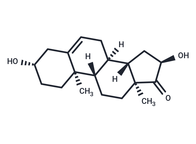 16α-羟基脱氢表雄酮|T36920|TargetMol