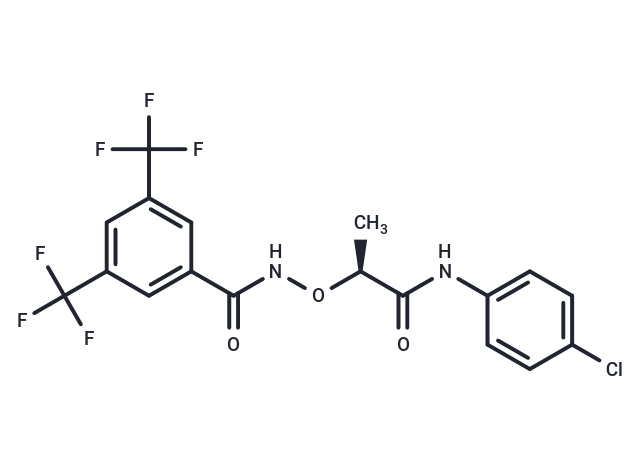 化合物 (S)-CCG-1423|T23296|TargetMol