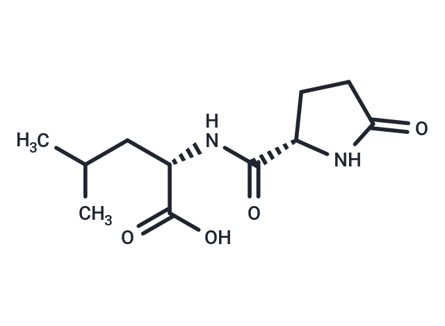 化合物 Pyroglutamylleucine|T26005|TargetMol