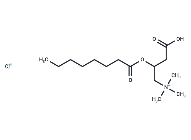 化合物 (±)-Octanoylcarnitine chloride|T22483|TargetMol