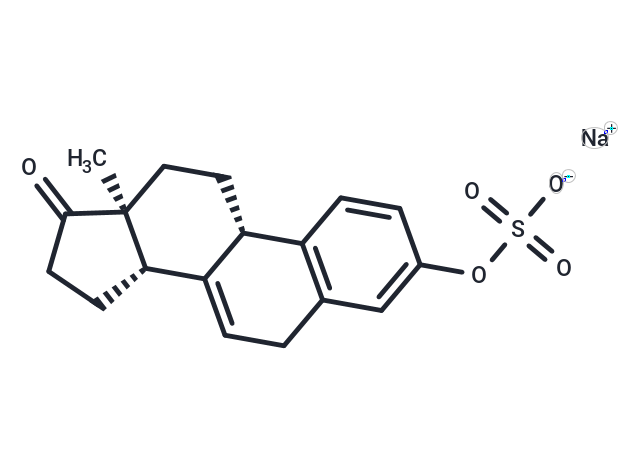 化合物 Conjugated Estrogen sodium|T19988|TargetMol