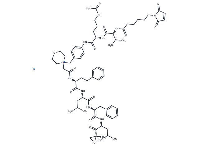 化合物 MC-Val-Cit-PAB-carfilzomib iodide|T18320|TargetMol