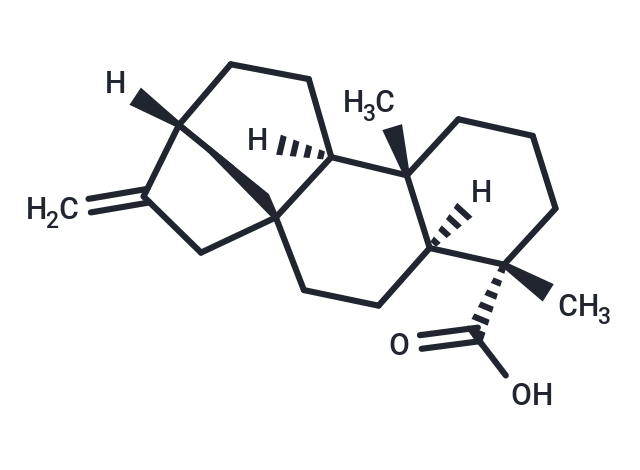 化合物 Argyrophilic acid|T30130|TargetMol