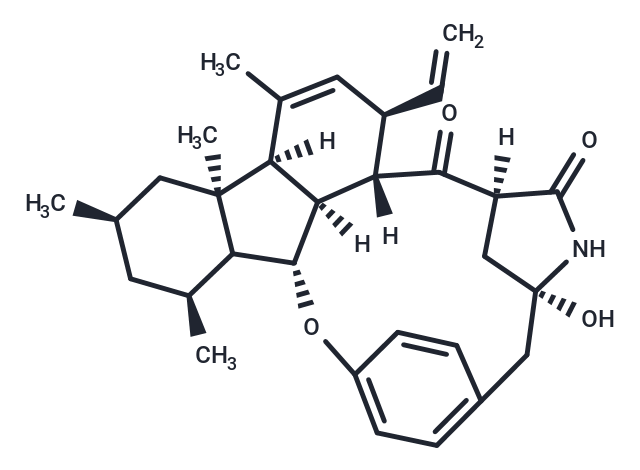 化合物 Pyrrocidine B|T124849|TargetMol