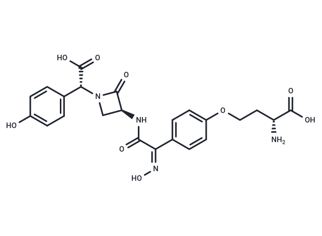 化合物 Nocardicin A|T25876|TargetMol