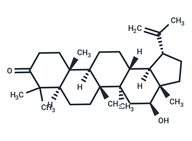 化合物 16-Hydroxylup-20(29)-en-3-one|T29290|TargetMol