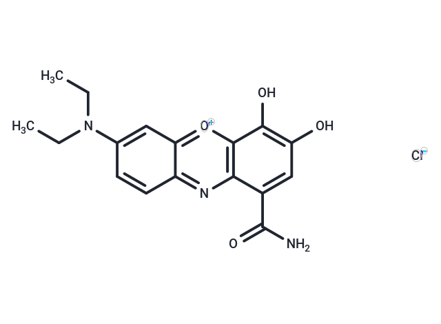 化合物 Celestine Blue|T86033|TargetMol